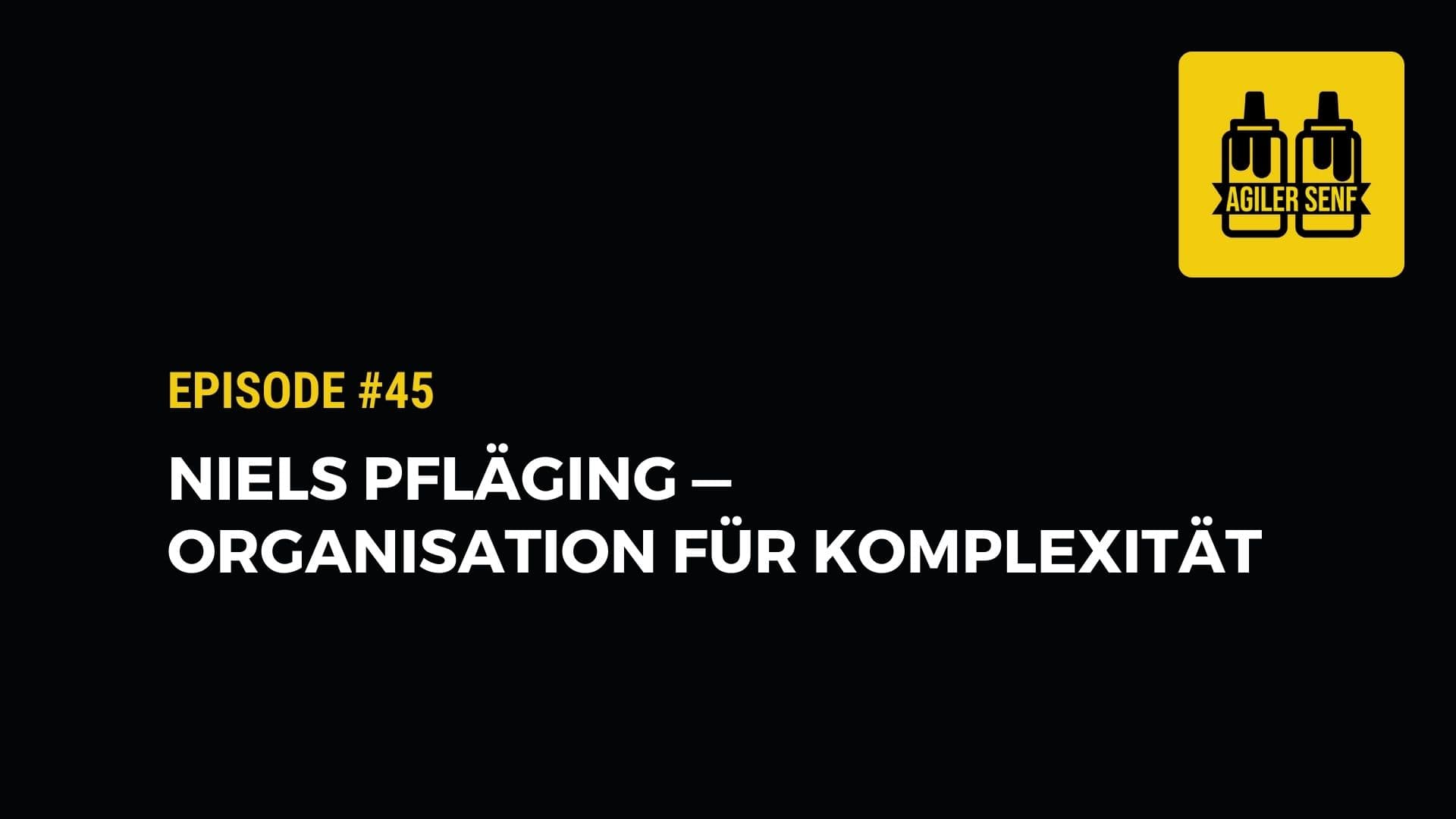 #45: Niels Pfläging — Dezentral, agil und demokratisch: Mit Beta ...